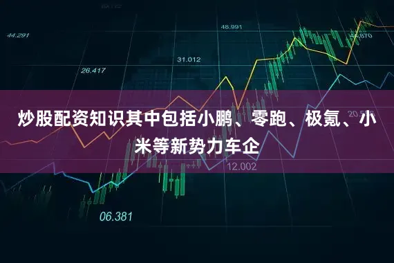 炒股配资知识其中包括小鹏、零跑、极氪、小米等新势力车企