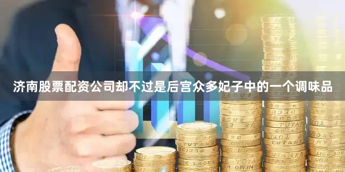 济南股票配资公司却不过是后宫众多妃子中的一个调味品