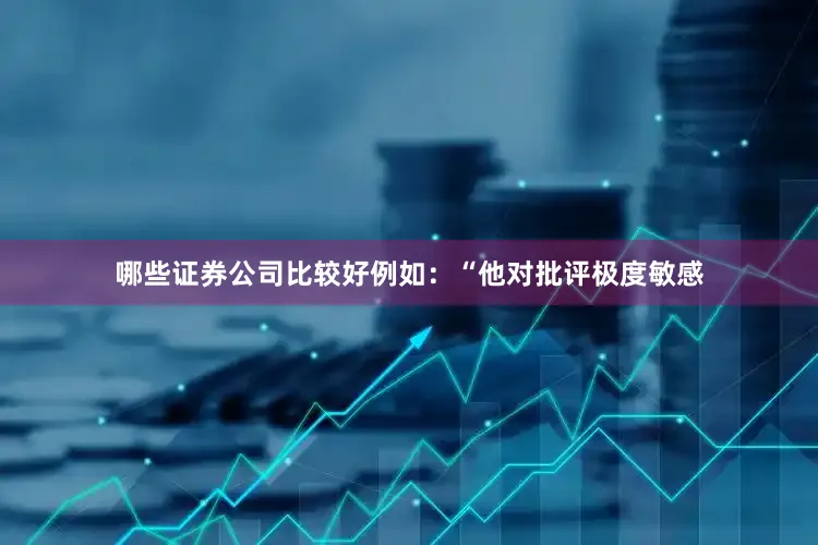 哪些证券公司比较好例如：“他对批评极度敏感